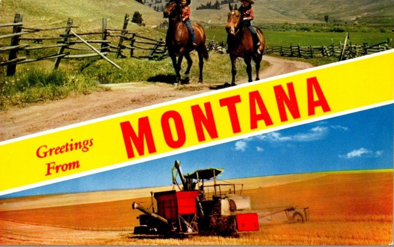 Montana Greetings From Montana