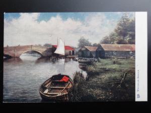 Norfolk: The Norfolk Broads, WROXHAM BRIDGE - Pub by Raphael Tuck 6165