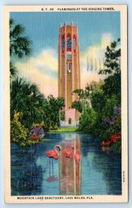 Flamingos at the Singing Tower - Lake Wales FLORIDA Postcard
