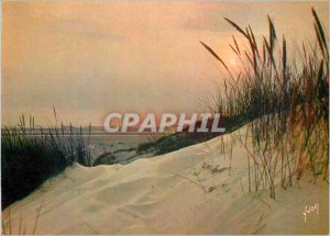 Modern Postcard Berck Plage (Pas de Calais) Colors and Light of France Sunset...