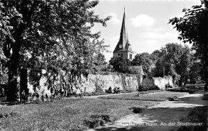 BG28710 northeim i hann an der stadtmauer   germany  CPSM 14x9cm