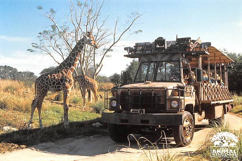 Kilimanjaro Safaris - Disney's Animal Kingdom