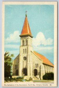 Pro Cathedral Of The Assumption, North Bay, Ontario, Vintage PECO Postcard