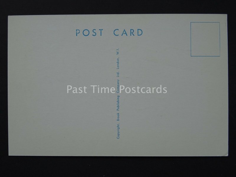 Belly Dancer SHE ROLLS HER 'R's TOO! Comic Postcard by Brook Co Ltd