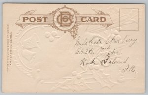 Christmas~Robin & Holly Joyful Holiday~Vintage Postcard 