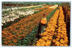 Greetings From Corn Oklahoma OK, Scenic View Of Garden Flower Park Postcard