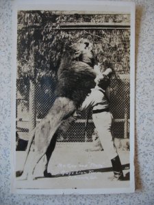 EL MONTE, CA ~ 1940s real photo GAY'S LION FARM. Mrs. Gay with lion PLUTO