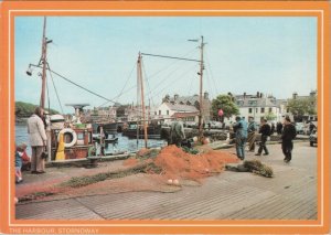 Scotland Postcard - The Harbour, Stornoway, Outer Hebrides   RR23419