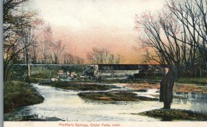Vintage Postcard 1910's View of  Pfeiffer's Springs Cedar Water Falls Iowa