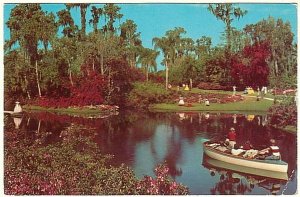 Lake Eloise, Cypress Gardens, Florida, Vintage 1955 Chrome Postcard