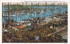 Florida Tarpon Springs Sponges And Sponge Fleet In Harbor