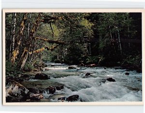 Postcard Musical waters of Western Washington