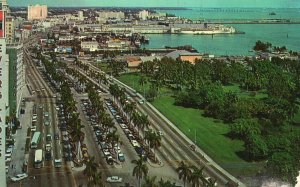 Vintage Postcard 1961 Palm Lined Biscayne Boulevard Bay And Docks Miami Florida