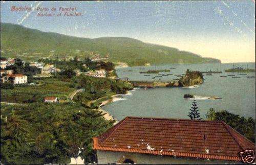 portugal, MADEIRA, Funchal Harbour (1920s)