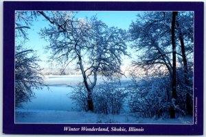 M-14442 Winter Wonderland Skokie Illinois