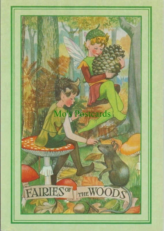 Children's Illustration Postcard - Fairies of The Woods RR12115   