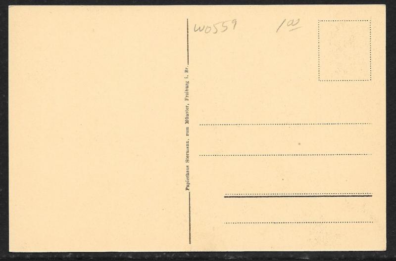 City Gate Tower Freiburg Schwabentor GERMANY Unused c1910s