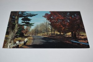 M. E. Hopkins General Store Erinsville Ontario Canada Postcard Colourpicture