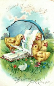 Circa 1910 Lovely Easter Baby Chicks Attacking Book Glitter Raphael Tuck P1