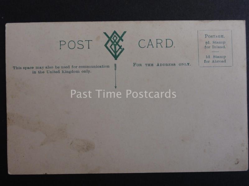 Kent HOP PICKING Londoners Picking into Bin c1908 Old Postcard by Young & Cooper