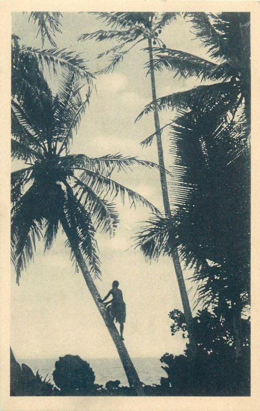 Northwestern Pacific Ocean Caroline Islands the Carolines coconut tree harvest