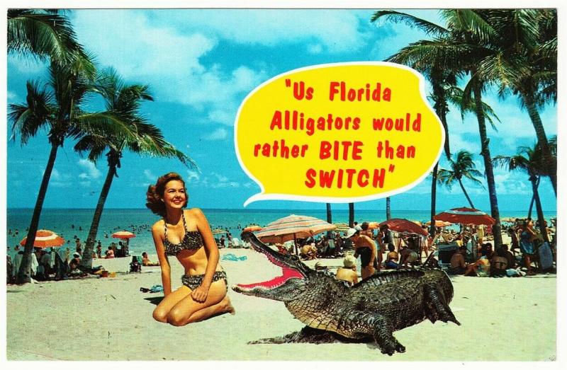 Florida Alligator Pinup Postcard Rather Bite Than Switch 1960s-1970s