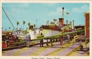 Florida Tampa View Along Banana Docks 1963