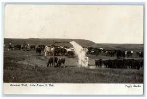 1908 Artesian Well Animals Farm Lake Andes South Dakota SD RPPC Photo Postcard