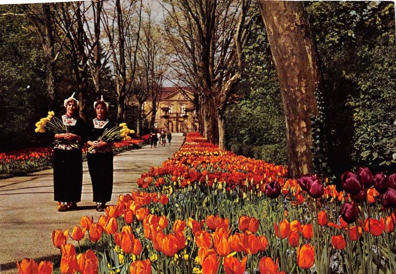 BR13949 Platenen und Blumenallee Gartenschau Bluhendes  Ludwigsburg  germany