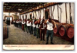 Borracheiros At Winery Grapes in Skins Madeira Portugal DB Postcard U25