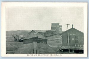 Brandt South Dakota SD Postcard Depot Elevators Exterior Building c1910 Vintage