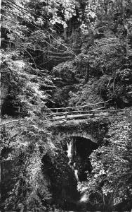 BR16569 Luchon Le jardin des Cascades   france