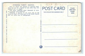 Postcard  The Petrified Forest, Arizona AZ E25