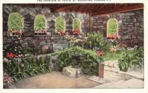 Vintage Postcard 1920's The Plants House Fountain of Youth St. Augustine Florida