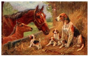 Dog ,   Fox Hounds and Horses