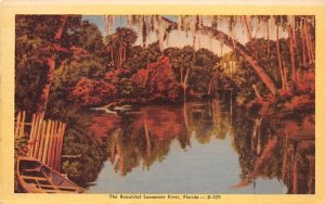 The Beautiful Suwannee River, FL, USA Florida