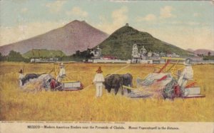 Mexico Framers Using American Binders Near The Pyramids Of Cholula Internatio...