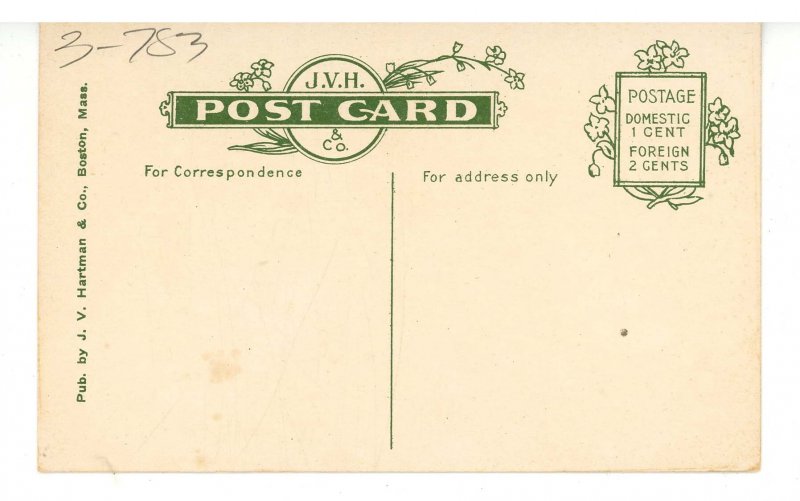 NH - Mt. Washington. Cog Railway Tracks