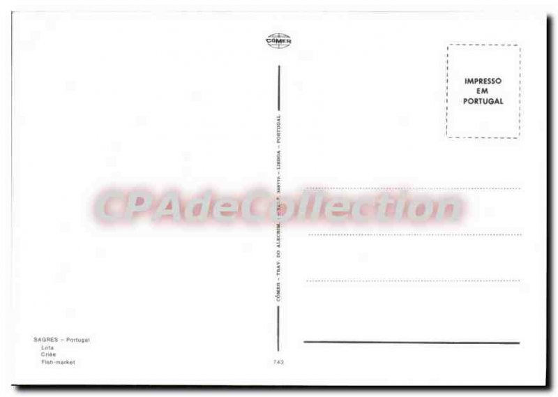 Postcard Modern Sagres Lata