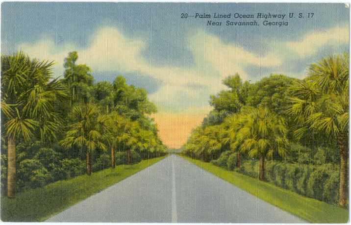 Linen of Ocean Highway U.S. 17 near Savannah Georgia GA