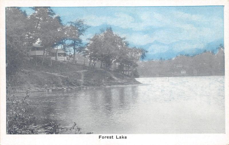 Forest Lake Indiana~House on Hill~1920s Auburn Greeting Card Co Postcard