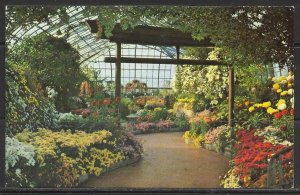 Ohio, Cincinnati - Eden Park Conservatory - [OH-098]