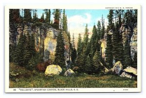 Hellgate Spearfish Canyon Black Hills S. D. South Dakota Scenic Postcard