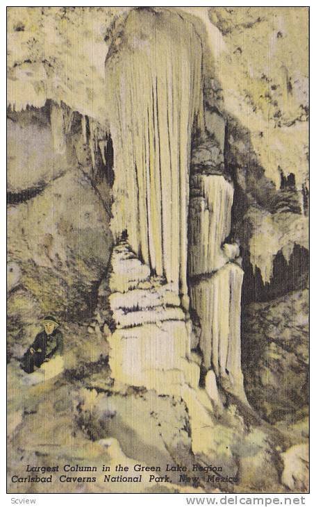 Largest Column In The Green Lake Region, Carlsbad Caverns National Park, New ...