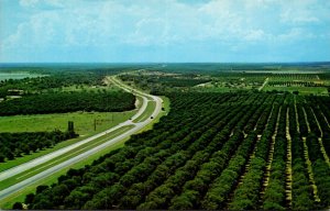 Florida Clermont Citrus Observation Tower Showing Orange Groves