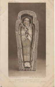 Seshep Shet Egyptian Mummy Antique Egypt Tomb Museum Postcard