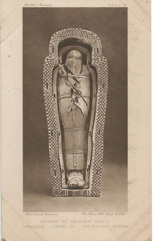 Seshep Shet Egyptian Mummy Antique Egypt Tomb Museum Postcard