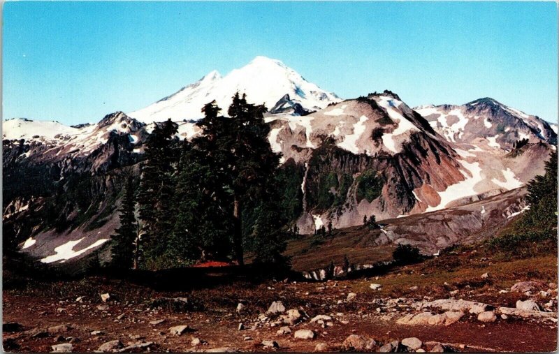 Mount Baker National Forest Washington WA Postcard VTG UNP Dexter Vintage Unused 