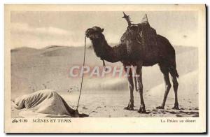 Old Postcard Scenes And Types of Prayer At Desert Camel