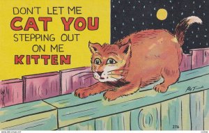 COMIC; 1900-1910's; Don't Let Me Cat You Stepping Out On Me Kitten